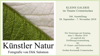 PlakatSalomon-Künstler-Natur_HD.png