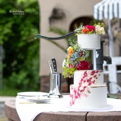 Hochzeiten mit Dirk Salomon www.FOSAVIS.de