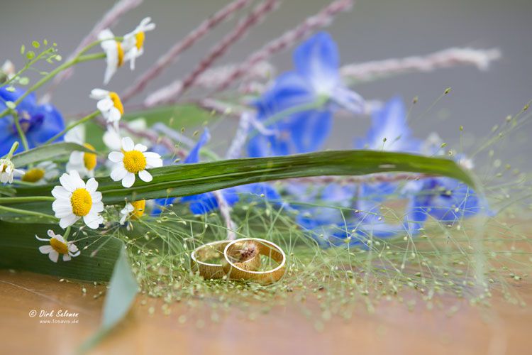 Hochzeiten mit Dirk Salomon - FOSAVIS