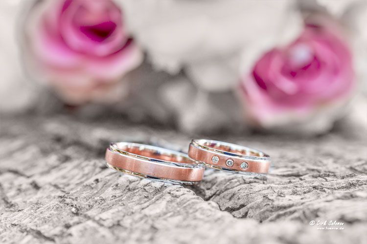 Hochzeiten mit Dirk Salomon - FOSAVIS