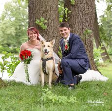 Hochzeiten mit Dirk Salomon www.FOSAVIS.de